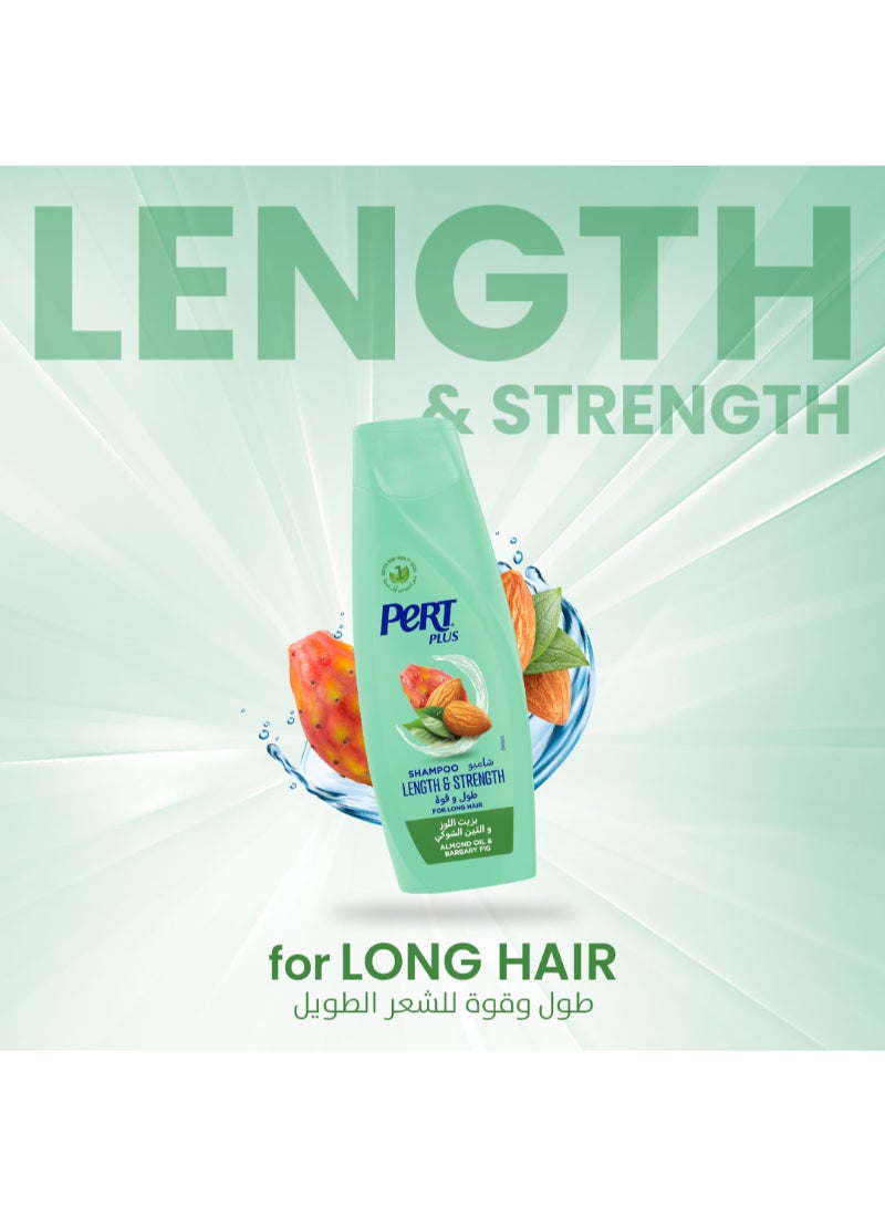 PERT PLUS Length & Strength Shampoo with Almond Oil and Barbary Fig 600ml - Image 3