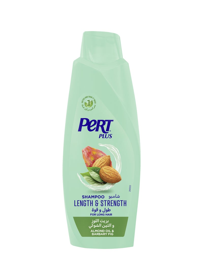 PERT PLUS Length And Strength Shampoo With Almond Oil And Barbary Fig 600ml - Image 1