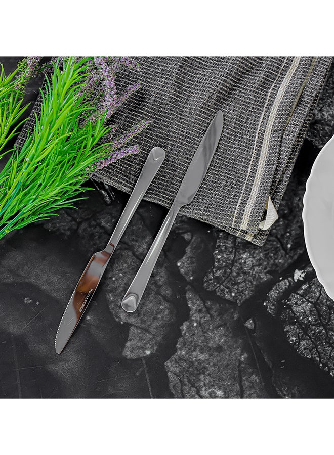 Royalford 2-Piece Table Knife Set Silver  - Image 4