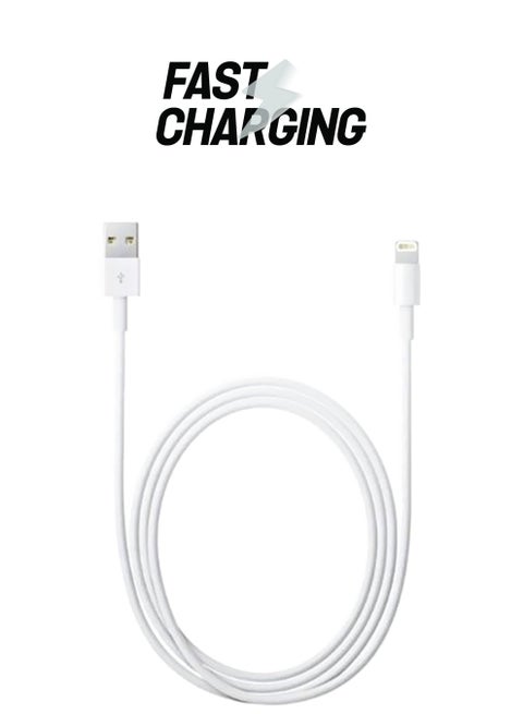 Lightning Data Sync Charging USB Cable White/Silver