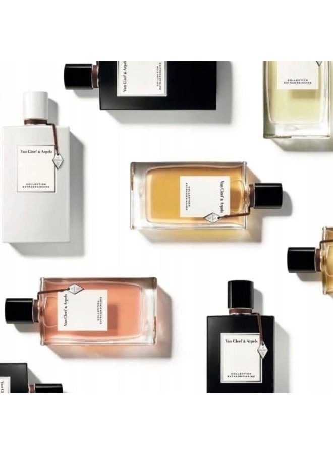 Rose Rouge EDP For Women 75ml - https://f.nooncdn.com/p/pnsku/N23426345A/45/_/1732367764/2de3a20e-a238-4627-8e3f-6bd68dfd8ec9.jpg?width=original