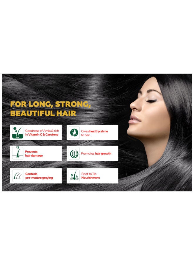 Dabur - Amla Hair Oil 270 ml | with Pure Amla Natural Extracts | Promotes Nourishment & Regrowth | For Long, Strong, & Dark Hair 270.0ml - Image 1