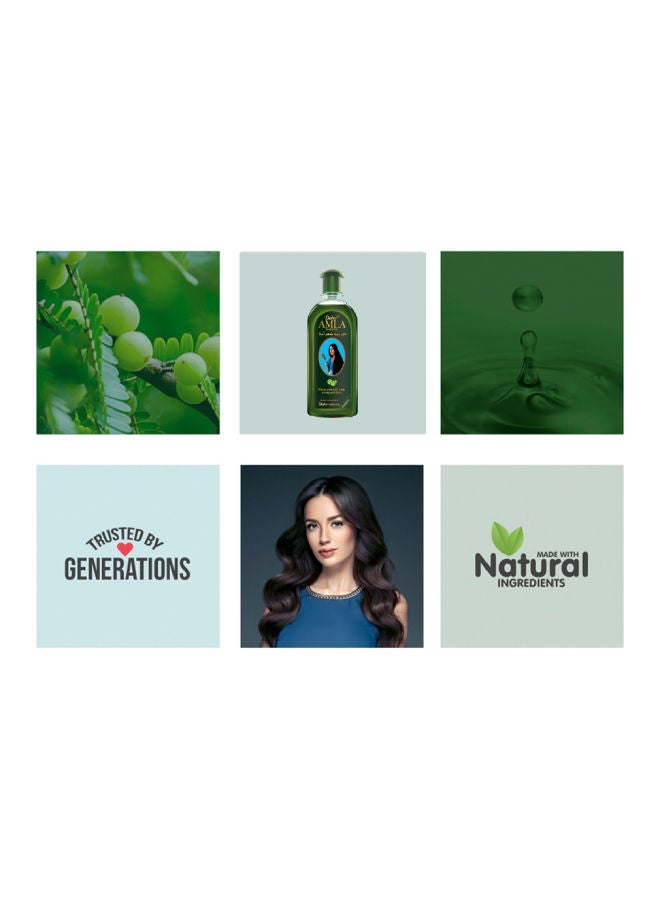 Dabur - Amla Hair Oil 270 ml | with Pure Amla Natural Extracts | Promotes Nourishment & Regrowth | For Long, Strong, & Dark Hair 270.0ml - Image 1