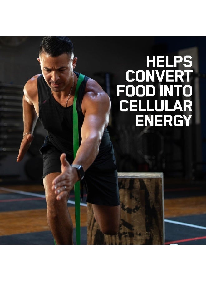 أوبتيموم نيوتريشن مكمل غذائي ZMA أون - 180 كبسولة - Image 5