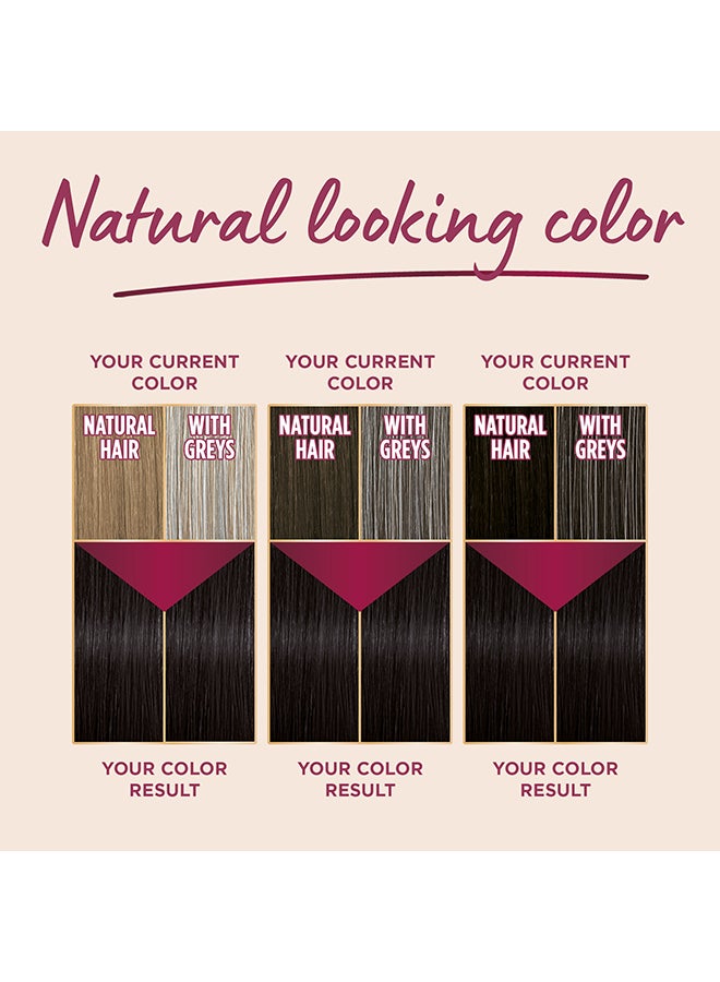 Palette - Intensive Color Crème 5-0 Light Brown 50ml , 50ml , & 10ml - Image 1