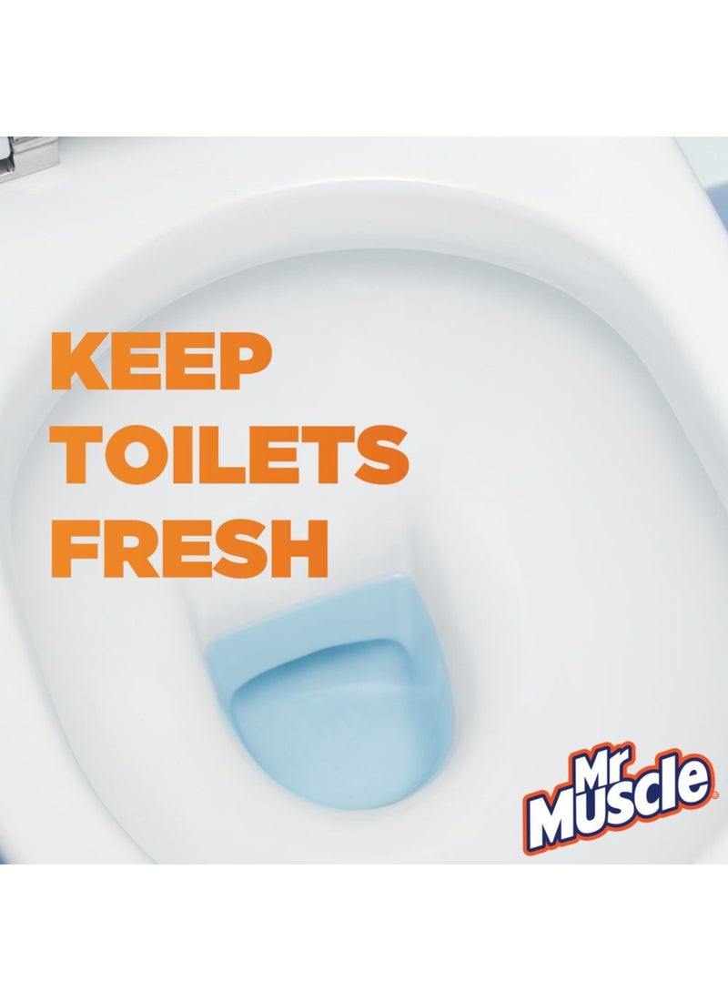 Mr Muscle Toilet Cleaner In-Tank Block With Marine Scent 2 Pieces 50grams - Image 2