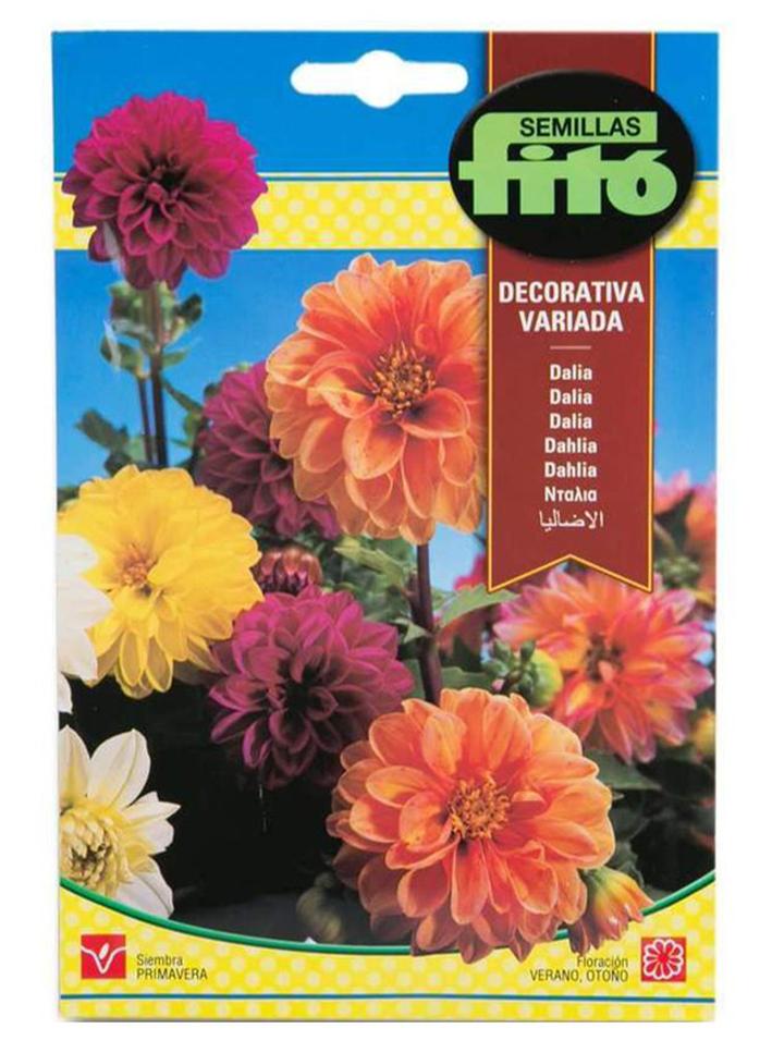 Fito Dahlia Decorative Mix Flower Seeds Multicolour