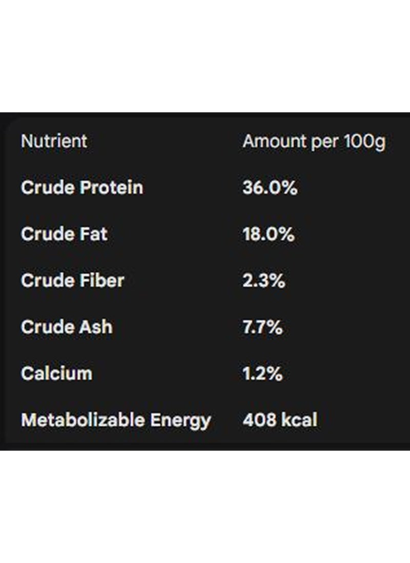 رويال كانين التغذية الصحية للقطط الصغيرة 2 كجم 2كيلوجرام - Image 3