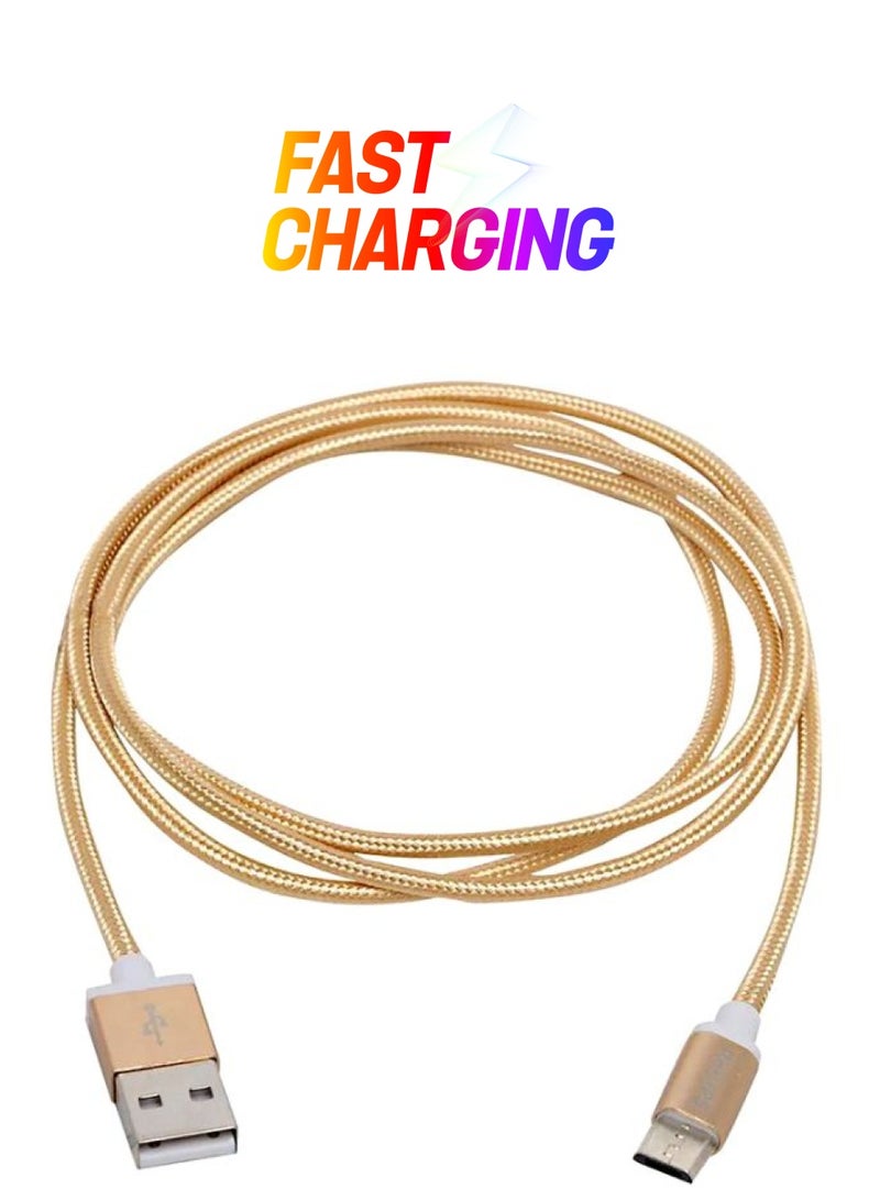 Philips Data Sync Charging Cable Gold  - Image 1