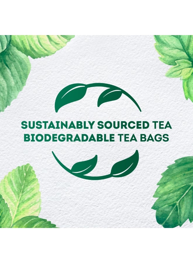 Lipton Herbal Infusion Tea Mint, 20 Teabags 1.8grams Pack of 20  - Image 5