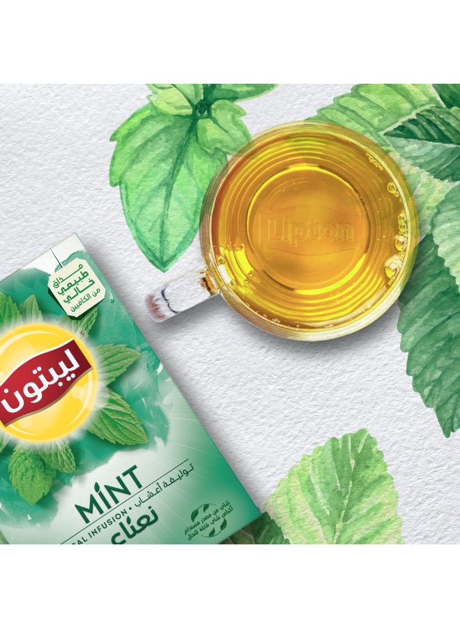 Lipton Herbal Infusion Tea Mint, 20 Teabags 1.8grams Pack of 20  - Image 2