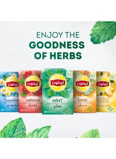 Lipton Herbal Infusion Tea Mint, 20 Teabags 1.8grams Pack of 20  - Image 4