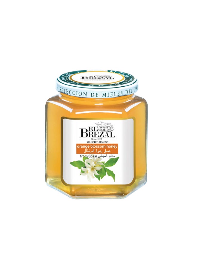 Orange Blossom Honey 500grams - pnsku/N25262990A/45/_/1735477021/c006186d-e81f-4f0f-9888-5fafc2770c2c