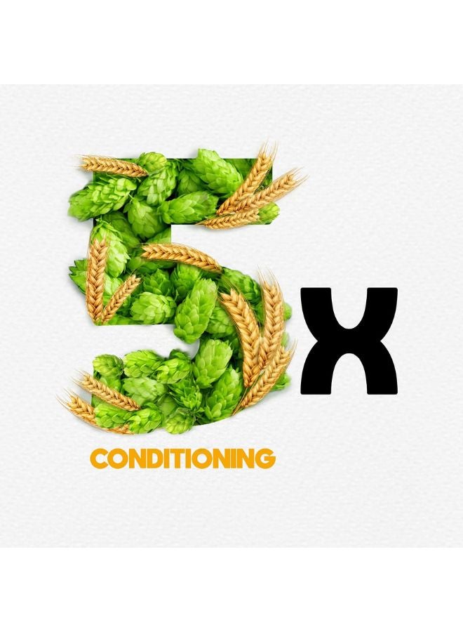 بارك أفينيو شامبو بيرة لامع ومرن - Image 5