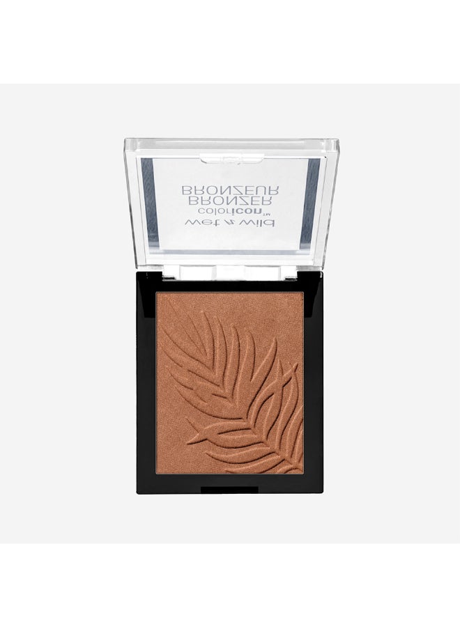 ويت اند وايلد بودرة تسمير كولور آيكون وات شادي بيتشز - Image 2