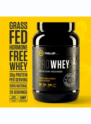 Pro Whey- Chocolate Delight Flavour, Whey Protein Powder,30G Protein,2.1G Carb And 4.8G Bcaas Per Serving, 28Servings,2Lbs(907G) - view 2