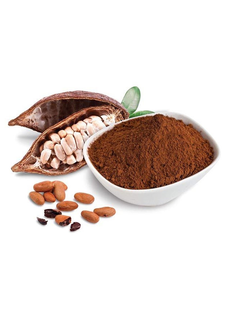 Organic Cacao Powder Energy Boosting Superfood 227G