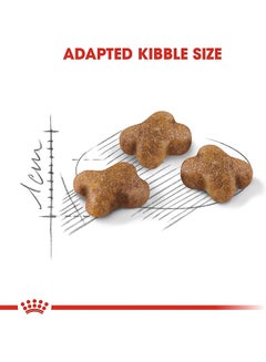 ROYAL CANIN Dry Food For Second Age Kitten 4kg  - Image 5