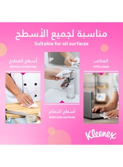 كلينيكس رول مناديل للمنزل فيفا ماكسي أبيض  - Image 5