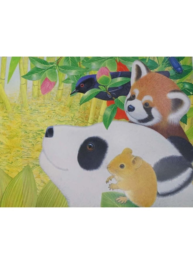 Ping-ping Panda's Bamboo Journey Board Book English by Maurice Pledger - 3/31/2015 - Image 5