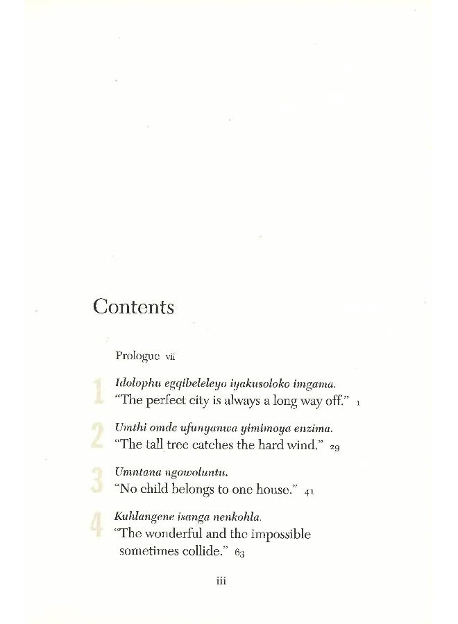 Going To The Mountain: Life Lessons From My Grandfather, Nelson Mandela Hardcover English by Ndaba Mandela - 26 June 2018 - Image 3