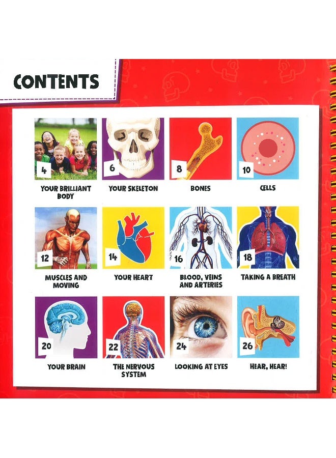 My Human Body Fact Pack Hardcover English - 01 Nov 2017 - Image 3