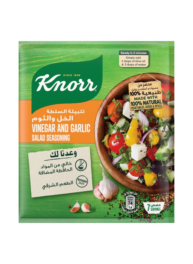 Knorr - Salad Seasoning, For Tasty Salads, Vinegar And Garlic 10grams Pack of 4 - Image 1