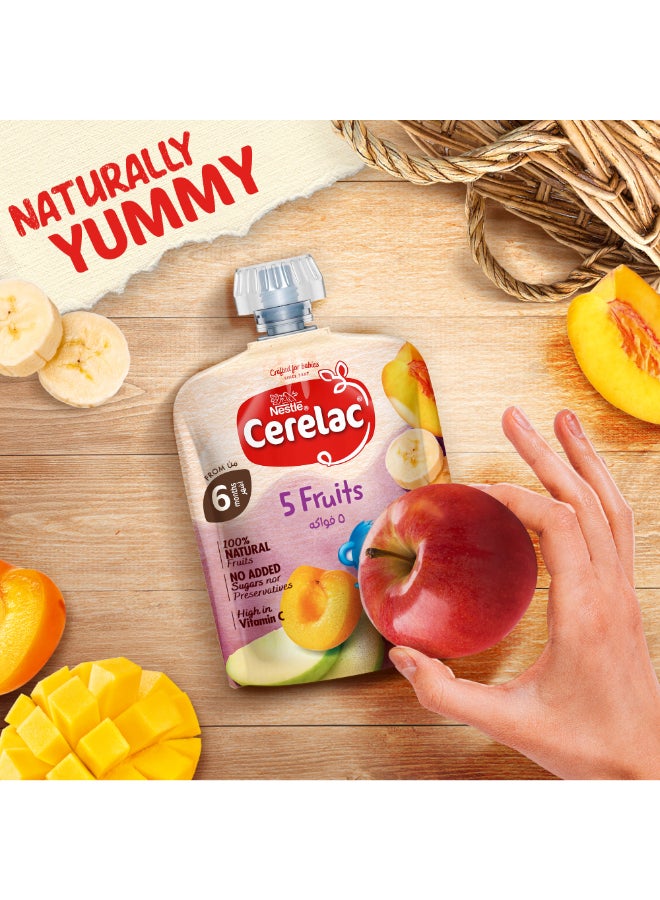 Cerelac 6 Fruits Pouch Puree Mixed Fruits 90grams - Image 2