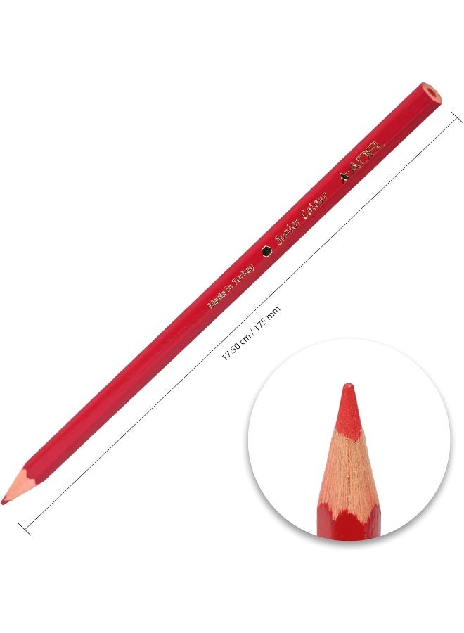 ADEL Color Pencils 24 Pieces - Assorted Bright Colors with Hexagonal Ergonomic Grip Multicolour - Image 5