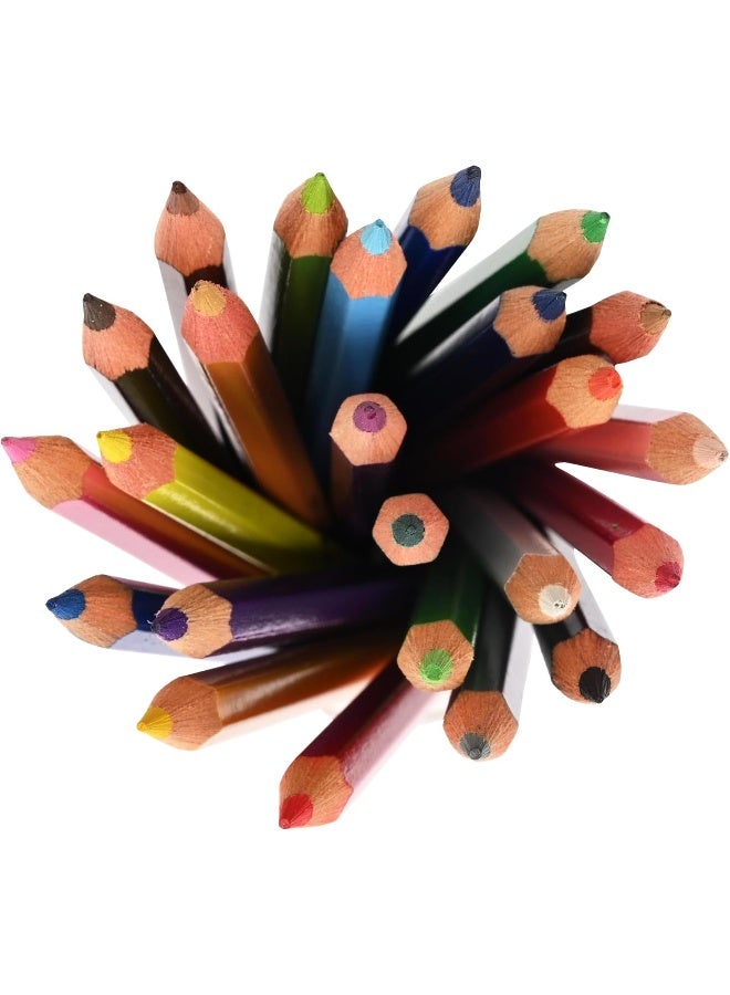 ADEL Color Pencils 24 Pieces - Assorted Bright Colors with Hexagonal Ergonomic Grip Multicolour - Image 2
