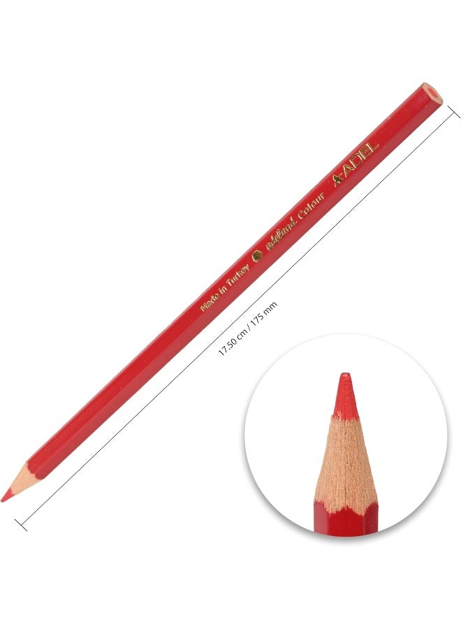 ADEL Color Pencils, 24 Pieces Assorted Colors with Hexagonal Ergonomic Grip Multicolor - Image 5