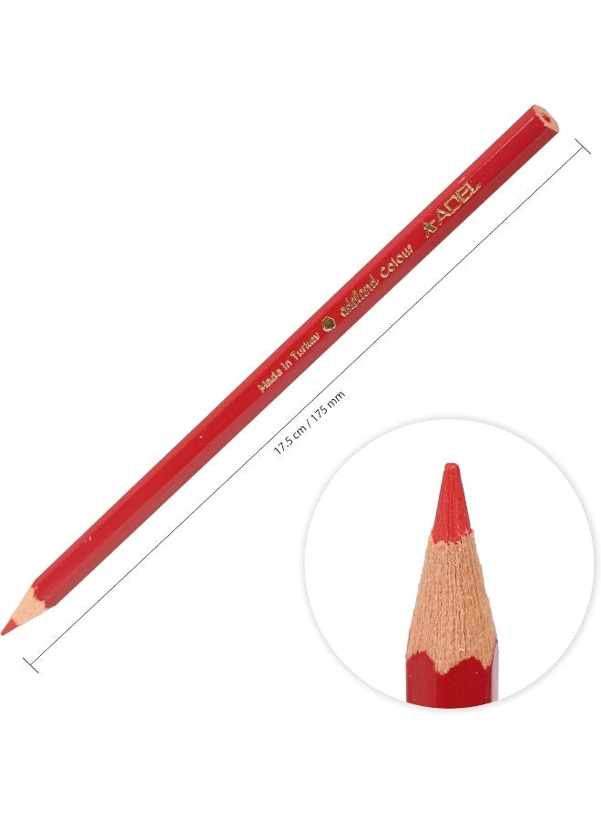 ADEL Jumbo Color Pencils - 12 Assorted Colors with Triangular Ergonomic Grip Multicolor - Image 4