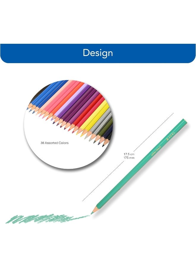 ADEL Color Pencils 36 Pieces Set - Assorted Bright Colors with Hexagonal Ergonomic Grip Assorted Bright Colors - Image 4