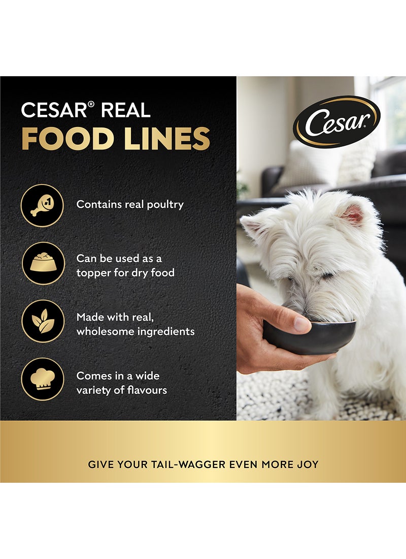 Cesar - Chicken And Vegetables Wet Dog Food Foil Tray 100grams - Image 1