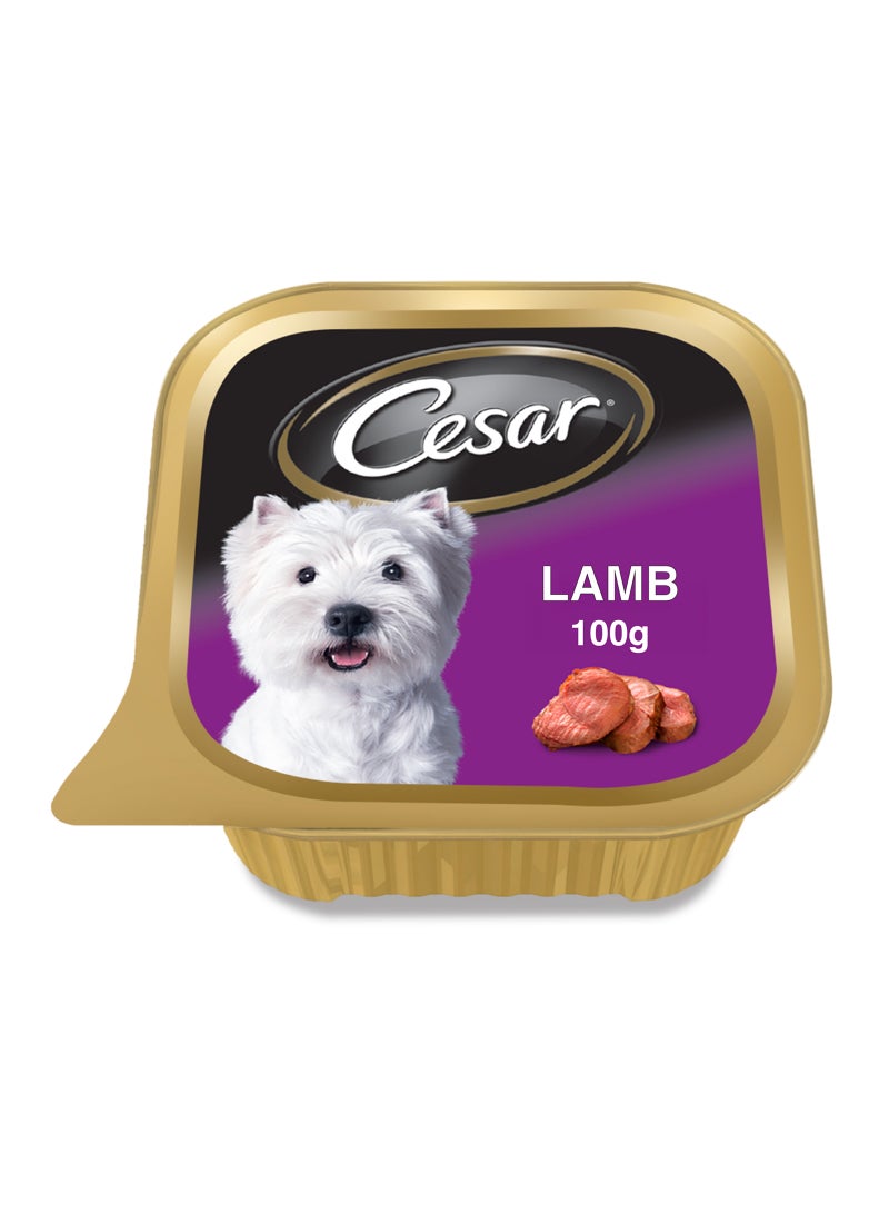 Lamb Wet Dog Food Can Foil Tray 100g - pnsku/N27812606A/45/_/1740060494/b5916b6f-66c4-4743-b187-2d6e396a51b4