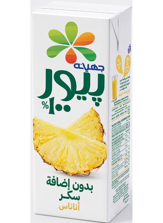 Pure Pineapple Juice 225ml
