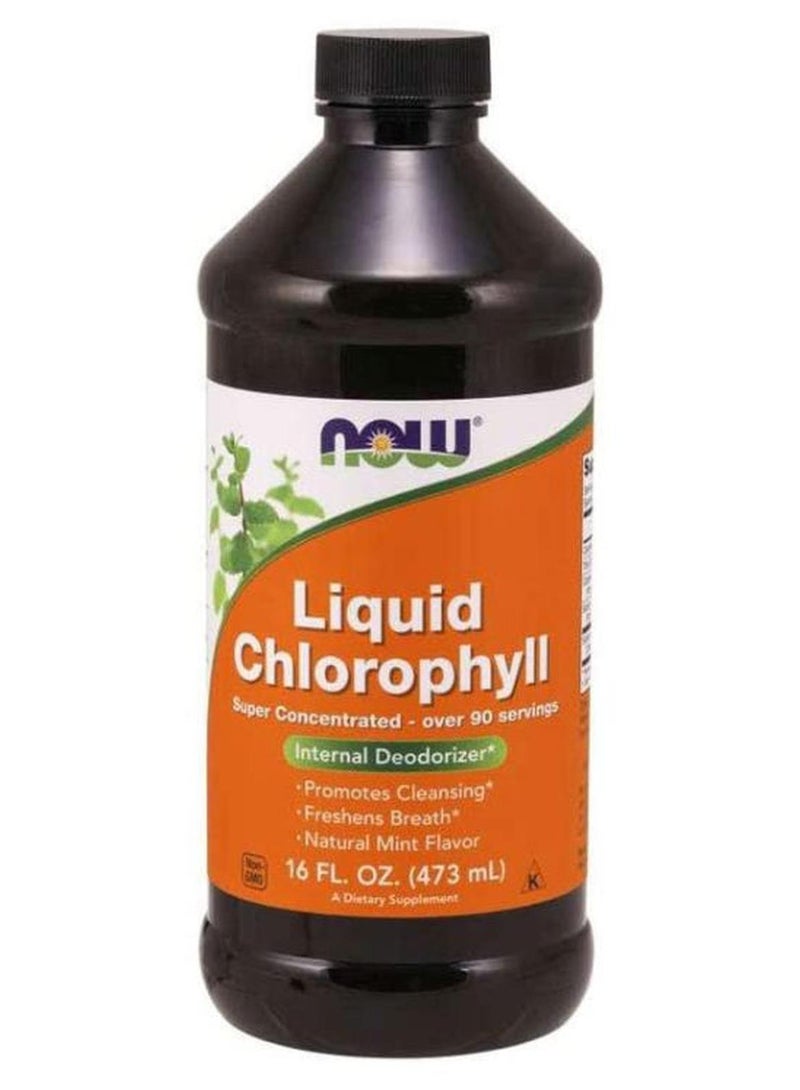 Now Foods Internal Deodorizer Liquid Chlorophyll - Mint 473 ML - Image 1