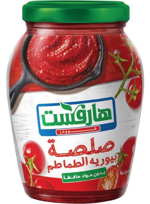 صلصة معجون الطماطم 320جرام