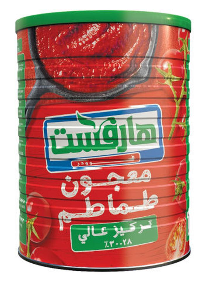 سعر ومواصفات هارفيست معجون طماطم 375جرام (N28863065A) على Noon EG
