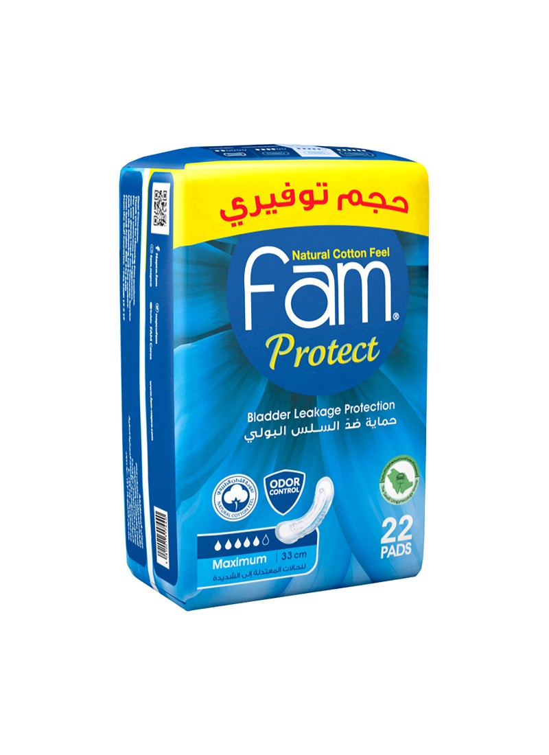 Fam Protect Sanitary Napkin 22 Pads - Image 1