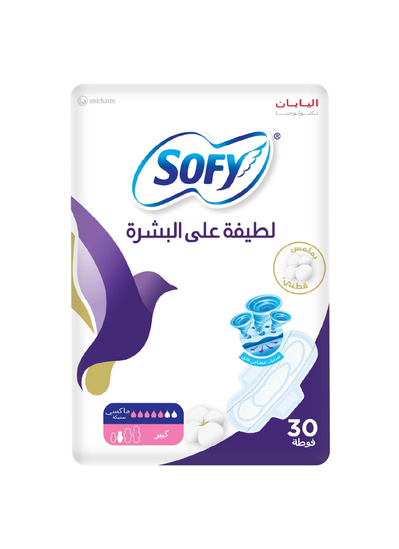 صوفي لطيفة على البشرة النحيفة 29 سم كبيرة 30 قطعة - Image 2