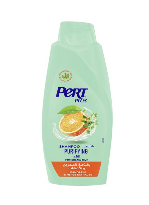 Purifying Shampoo for Greasy Hair with Mandarin and Herbs Extracts 600ml