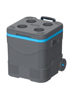 Keep Cold Plastic Picnic Trolley Icebox Roller Cooler with Wheels 45 Liters Grey 45.0Liters