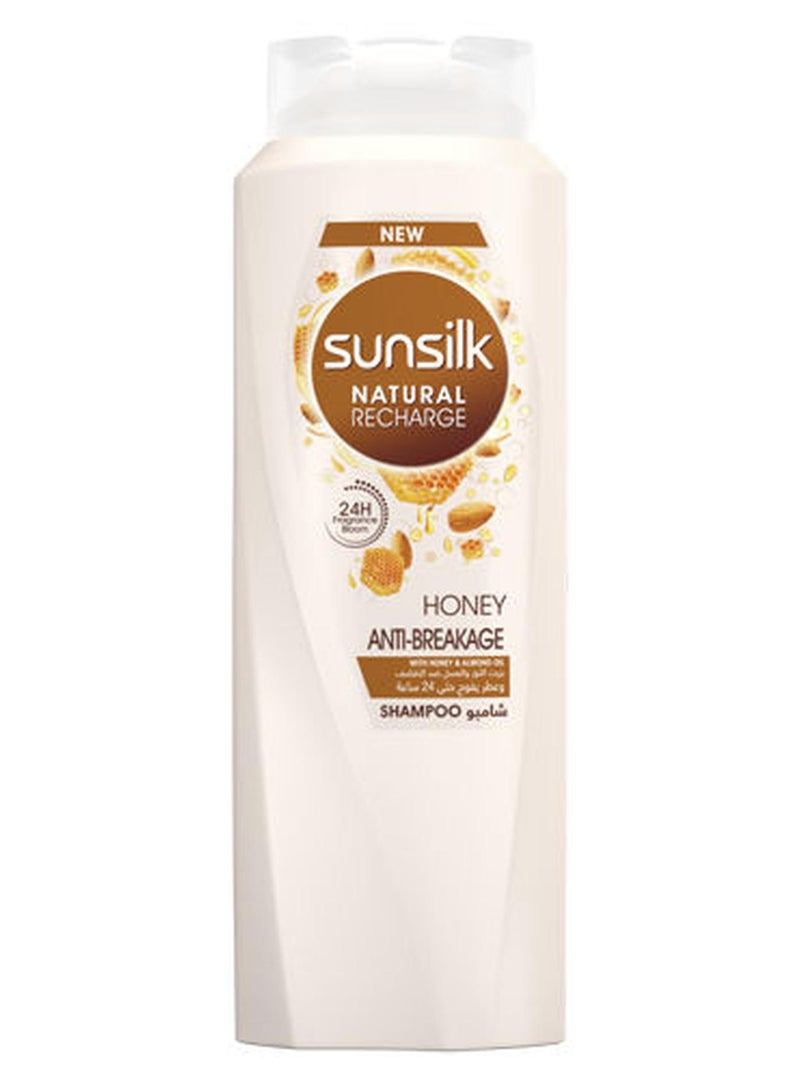 صانسيلك شامبو ضد تقصف الشعر 600ملليلتر - Image 1