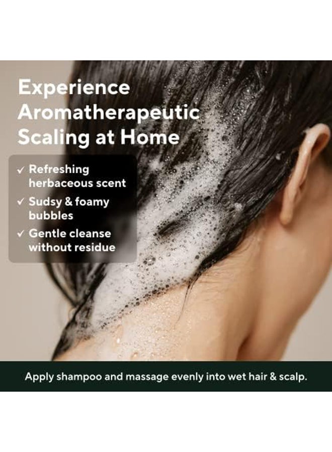 AROMATICA Rosemary Scalp Scaling Shampoo 13.5 Fl Oz - Image 4