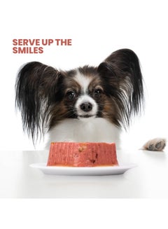 Plaisir Adultes Dog Food With Beef Heart And Vegetables Multicolour 300grams  - Image 4