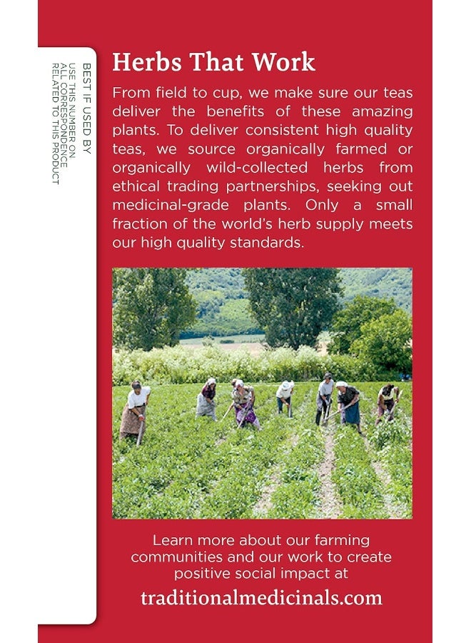 Traditional Medicinals - Organic Echinacea Plus Herbal Tea - Image 1