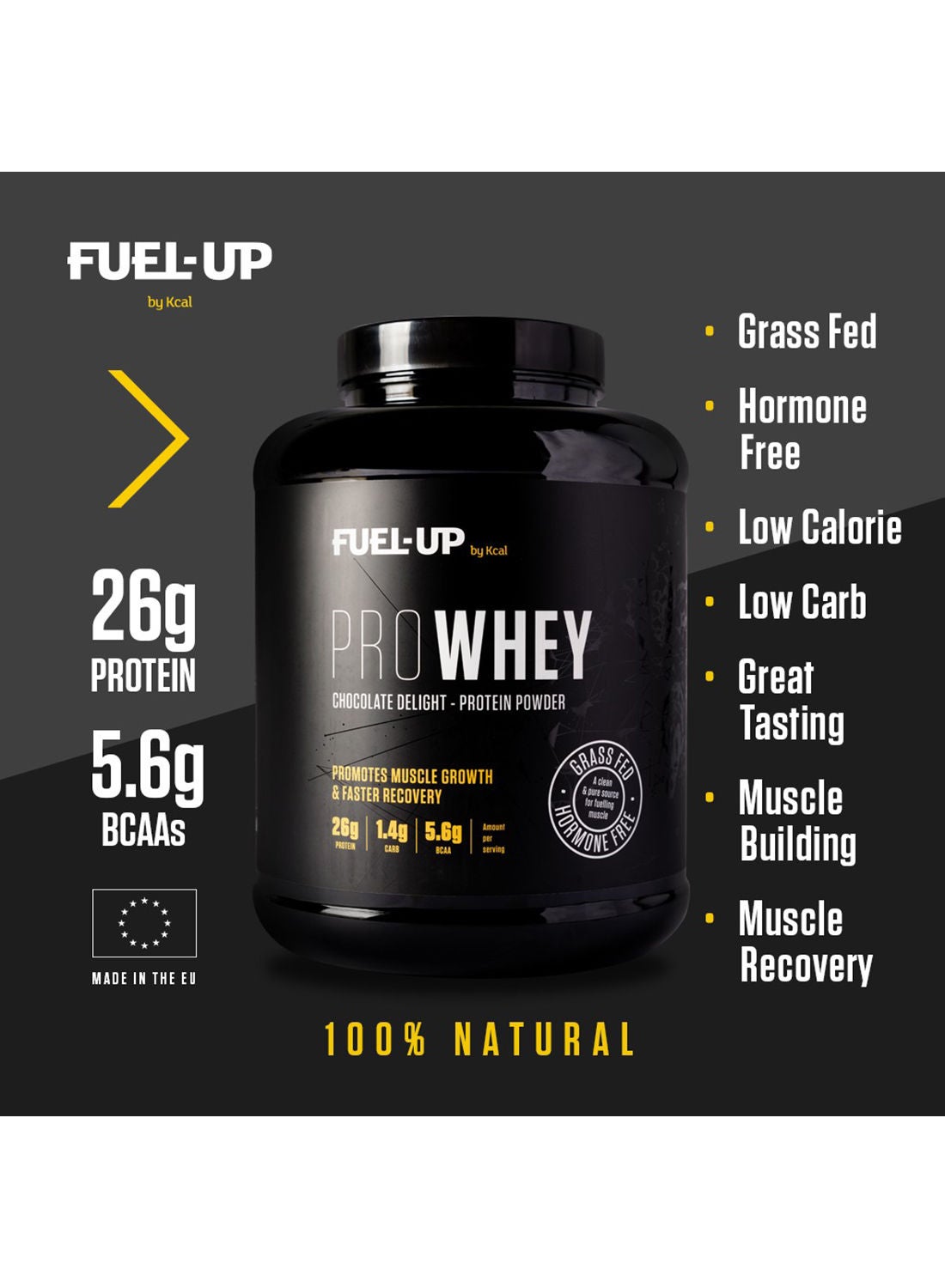 PROWHEY - Grass Fed and Hormone Free Whey Protein - 26g of protein per serving - Chocolate Delight - 5lb 