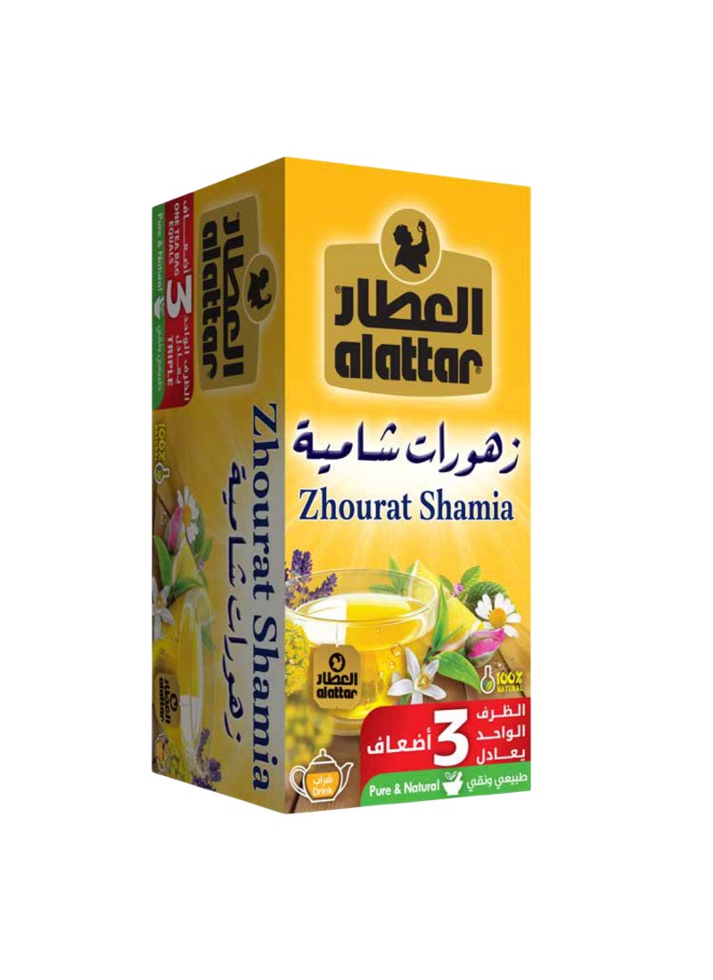 Zhourat Shamia - Bags Pack of 20