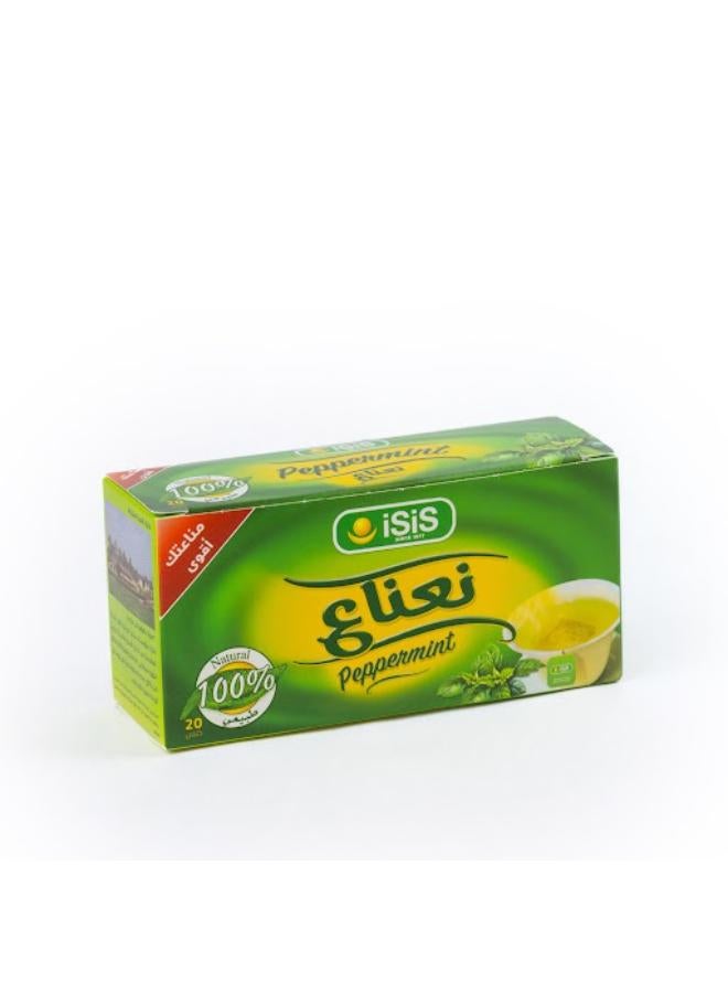 سعر ومواصفات إيزيس مشروب نعناع - 20 كيس (N29595465A) على Noon EG